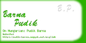 barna pudik business card